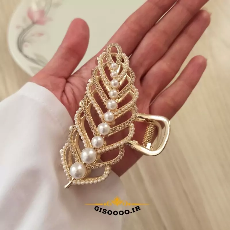 کلیپس مو مجلسی